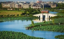  環保促發展系列報道（2）｜從&ldquo;優環境&rdquo;到&ldquo;強產業&rdquo;再到&ldquo;惠民生&rdquo; 東莞市麻涌鎮走通綠色發展&ldquo;閉環&rdquo;