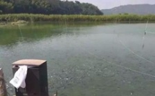  水產養殖水質檢測標準，這五個方面讓水質恢復清新