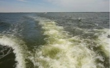  烏梁素海生態(tài)環(huán)境形勢仍不樂觀 綜合治理規(guī)劃不嚴(yán)不實(shí)