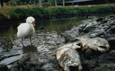  江蘇省廢水污染物在線監(jiān)測儀器與數(shù)采儀通訊協(xié)議規(guī)范